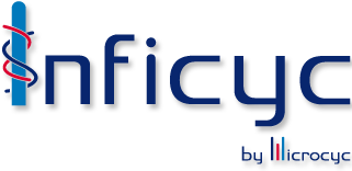 logo main